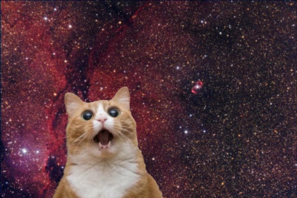 Me when I image the vastness of space